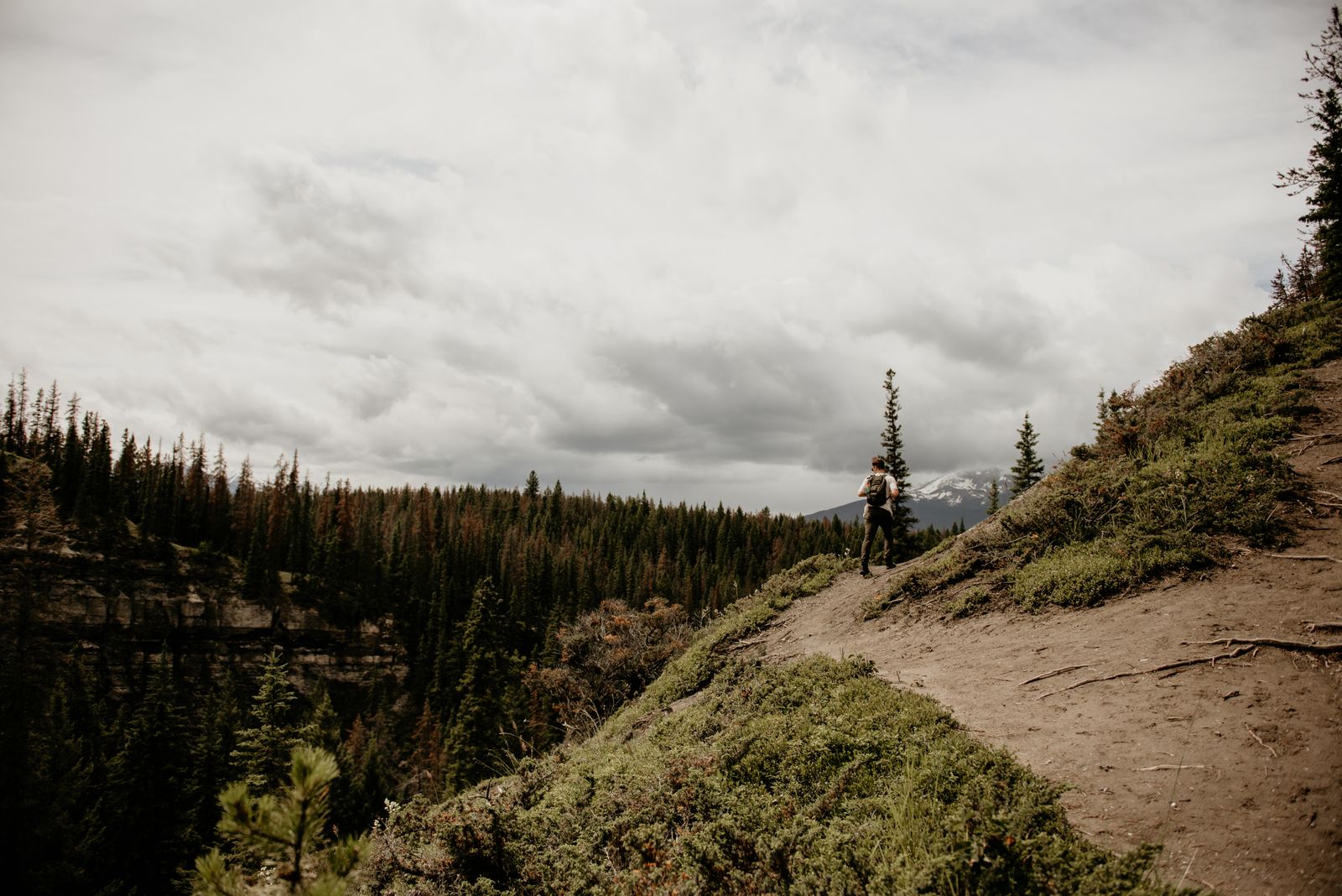Best Daypack for Short Torso: 6 Packs That Actually Fit