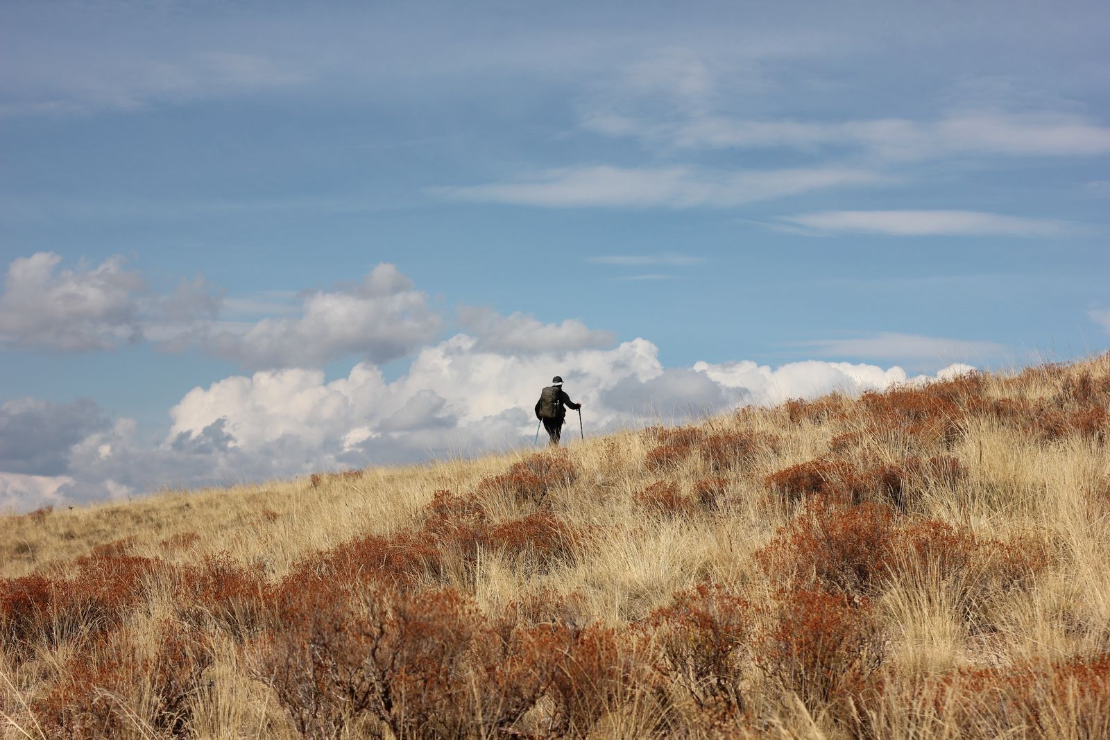 Hiker with backpack on a trail under blue sky