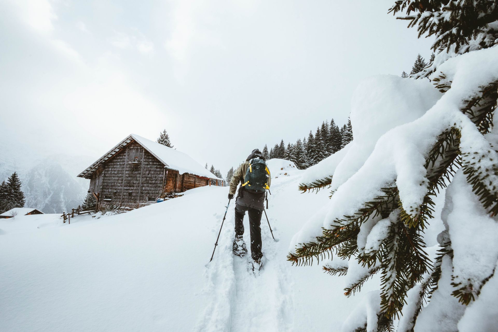 Best Hiking Socks for Cold Weather Under $30 (2026)
