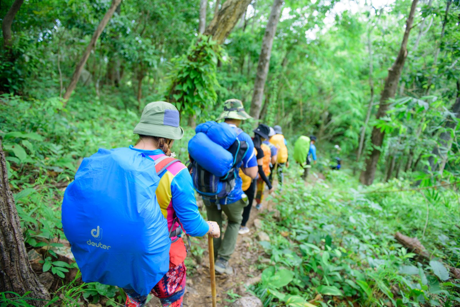 Backpackers hiking a summer forest trail